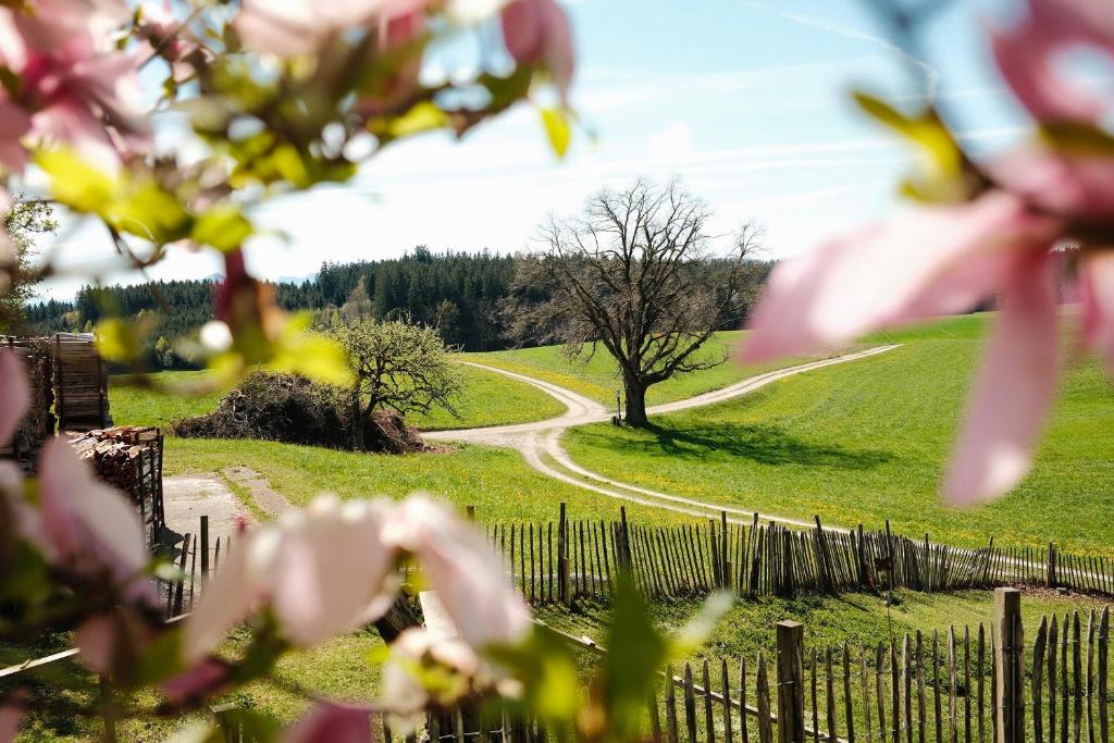 a field with a fence and a road at Chiemgauer Landliebe in Höslwang