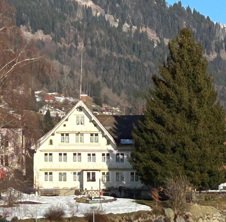a large white house with a tree in front of a mountain at Schlafen im Sternen Ennetbühl in Nesslau
