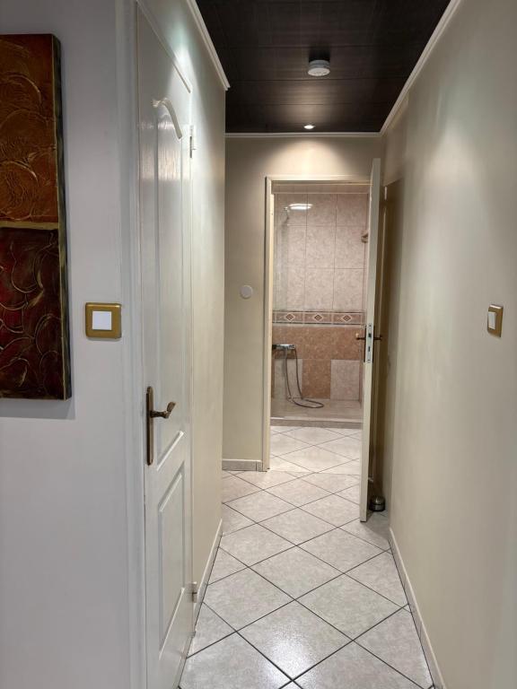 Grand appartement centre ville – photo 7
