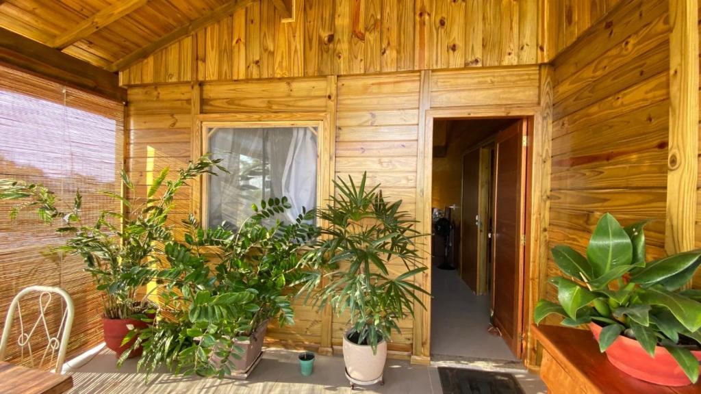 a room with wooden walls and a bunch of plants at Chalé beira mar in Prado