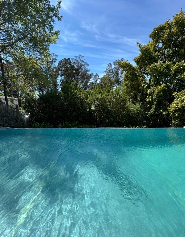 a pool of blue water with trees in the background at Casa Boutique de la Sierra in Sierra de los Padres