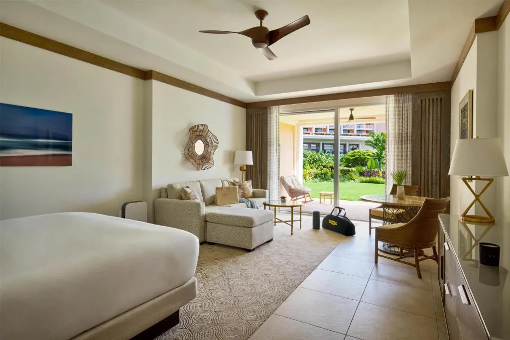 Wellness King Room