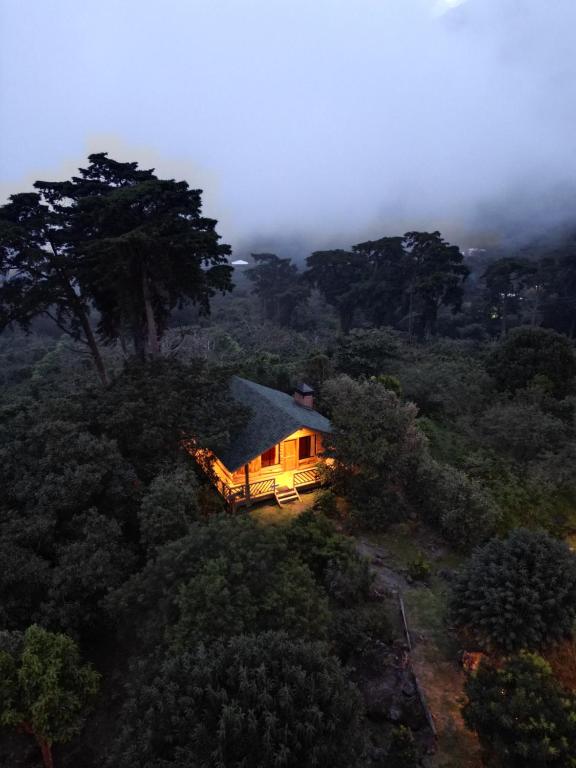 a house on a hill in the middle of a forest at Entrecafe Experience- Los Naranjos in Ojo de Agua