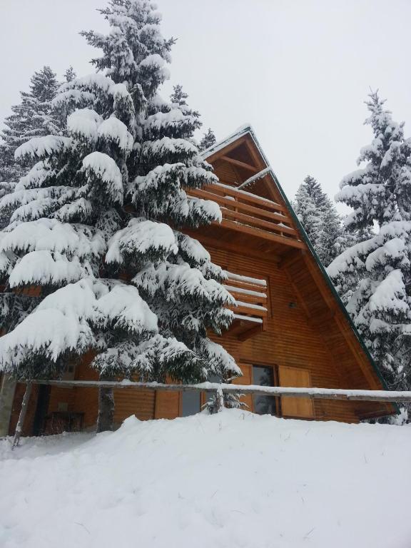 Chalet The Best View v zimě
