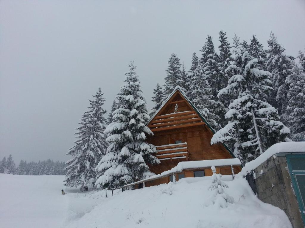 Chalet The Best View v zimě