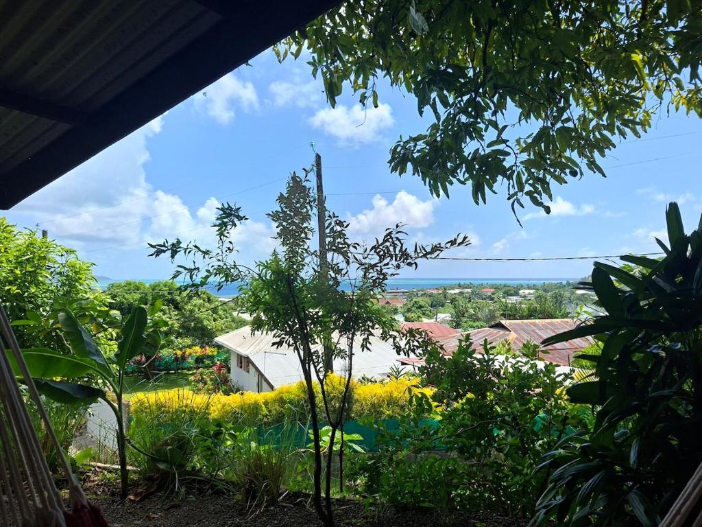 Maison avec bungalow Ylang - photo 11 - Raiatea, Polynésie