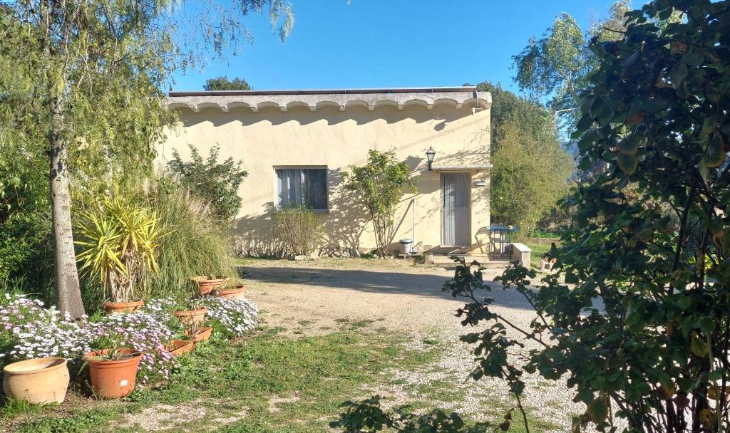 a house with a bunch of plants in a yard at Appartement La Casita in Ontinyent