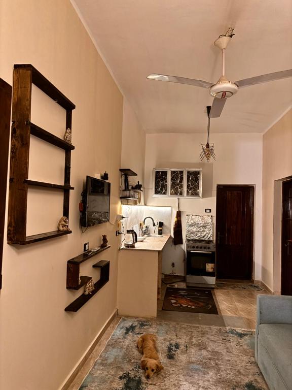 a kitchen with a dog laying on the floor at Dalida House in Dahab