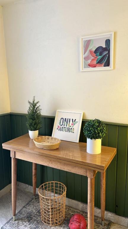 a wooden table with three potted plants on it at Peonía Tempo in Esquel