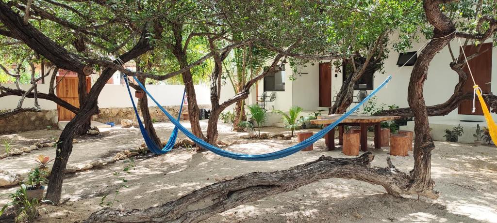 eine blaue Hängematte, die an einem Baum in einem Hof hängt in der Unterkunft Valentina Holbox by Las Flores Vacation Rentals in Holbox