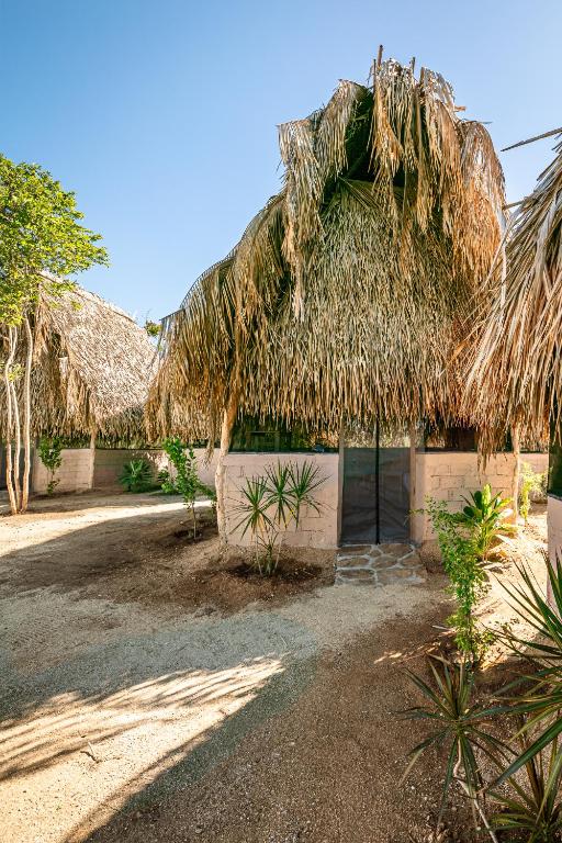 a hut with a thatched roof and a yard at The Dream Eco Glamping in La Sabrosa