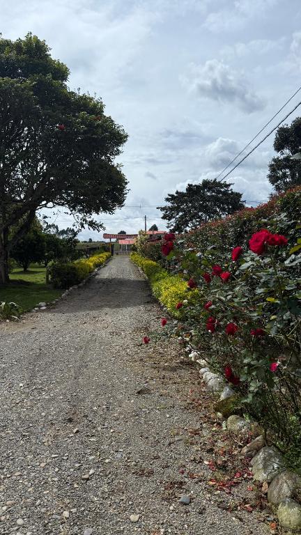 Hotel Campestre El Paraiso