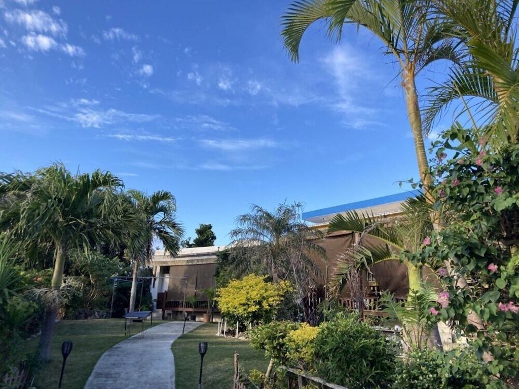 Jardí fora de ブーゲンビリア