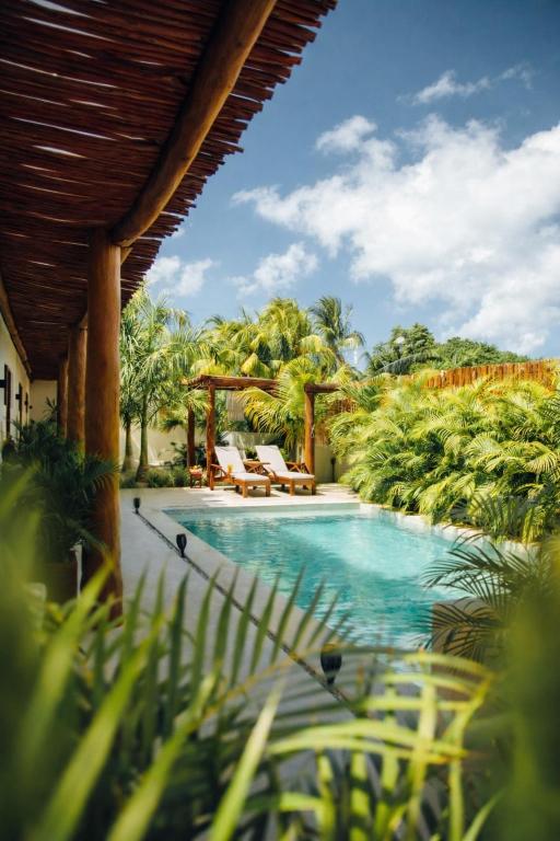 a pool at a resort with palm trees at Shankara Holbox in Holbox Island