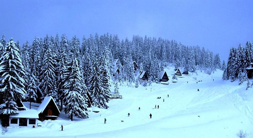 Chalet The Best View v zimě