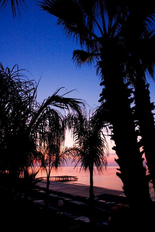 a view of a sunset from a beach with palm trees at Marvıda Hotel Akman Park in Kemer