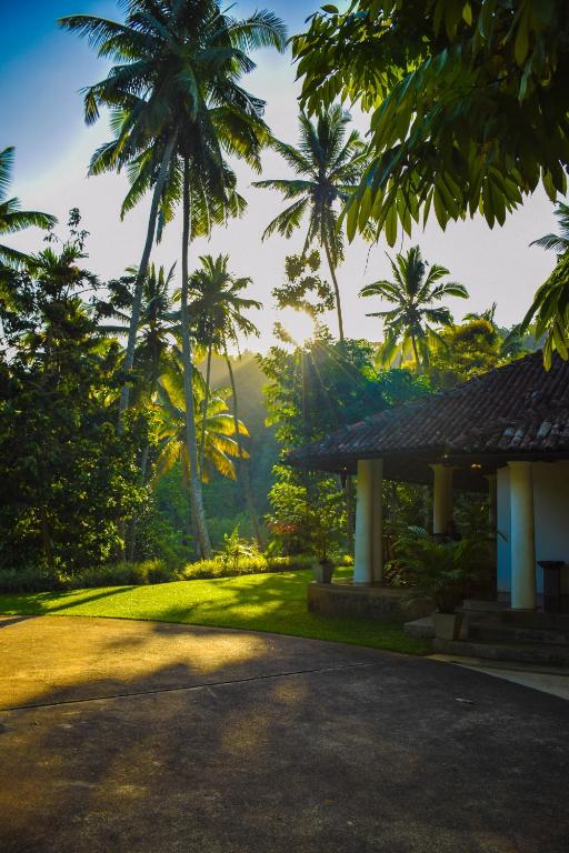 Zahrada ubytování Athulya Villas, Kandy