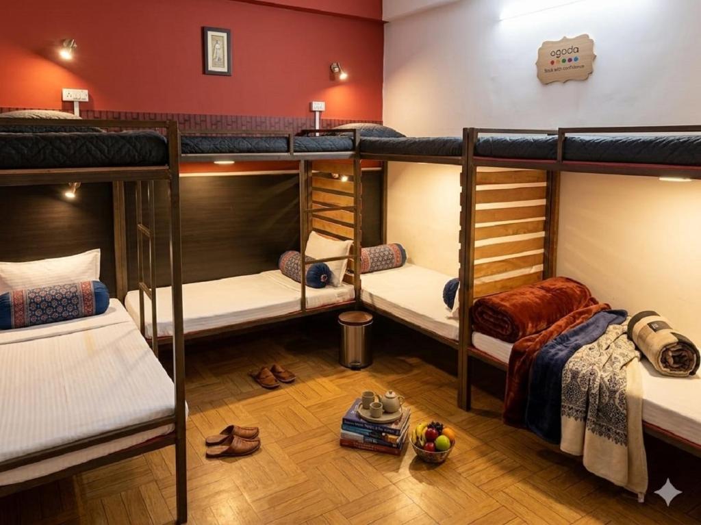 ein Zimmer mit vier Etagenbetten in einem Hostel in der Unterkunft Hotel Olive Tree in Agra