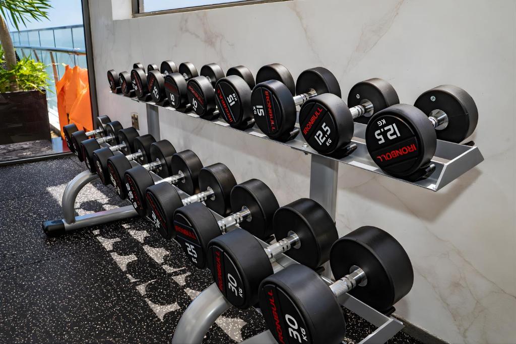 A wall-mounted dumbbell rack offers a substantial free-weight selection in a bright gym.