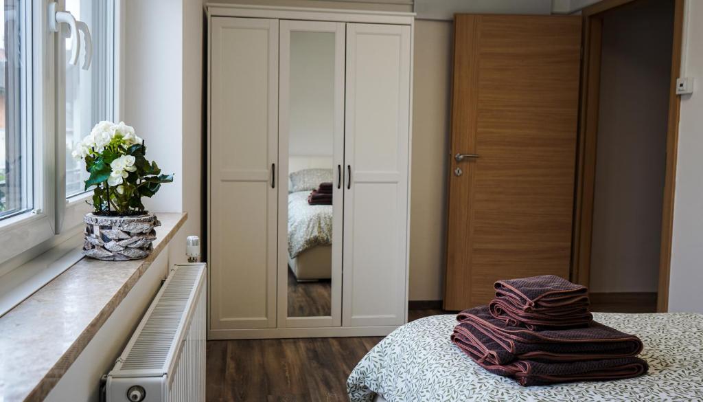 a bedroom with a closet and a bed with a mirror at Bloom Residence Gomzi in Naklo