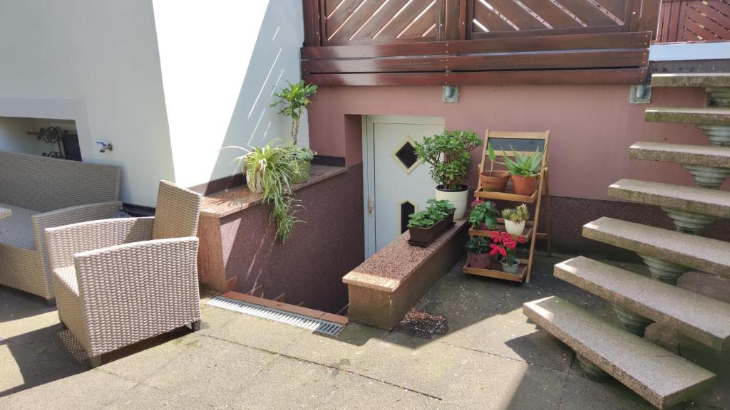 a bunch of potted plants on the side of a building at Souterrainwohnung in Niederau in Niederau