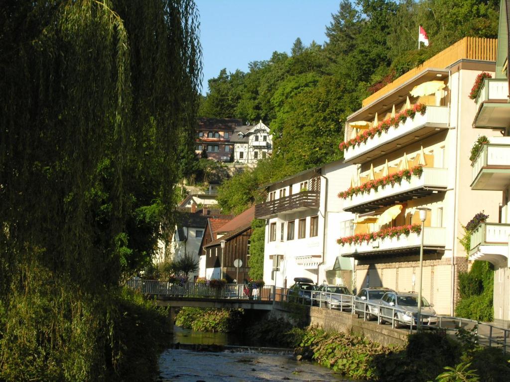 Příroda nedaleko hotelu