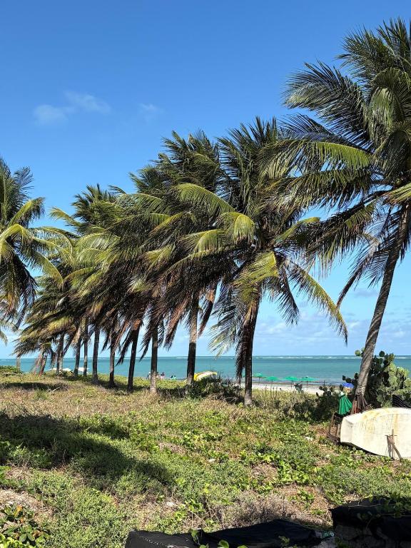 a row of palm trees on the beach at Flat Praia Ponta de Campina in Cabedelo