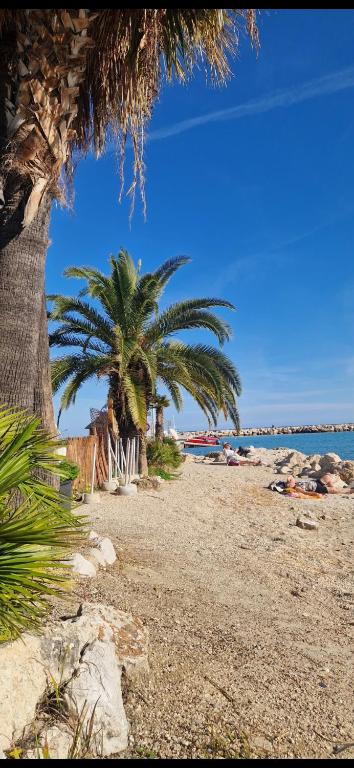 a beach with two palm trees and chairs on it at Résidence Royal Plaza Menton in Menton