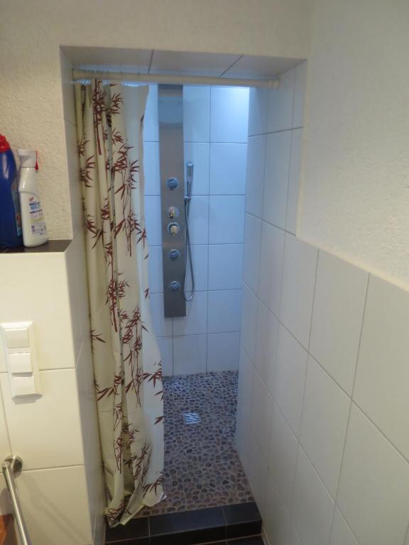 Koupelna v ubytování Apartment Janine