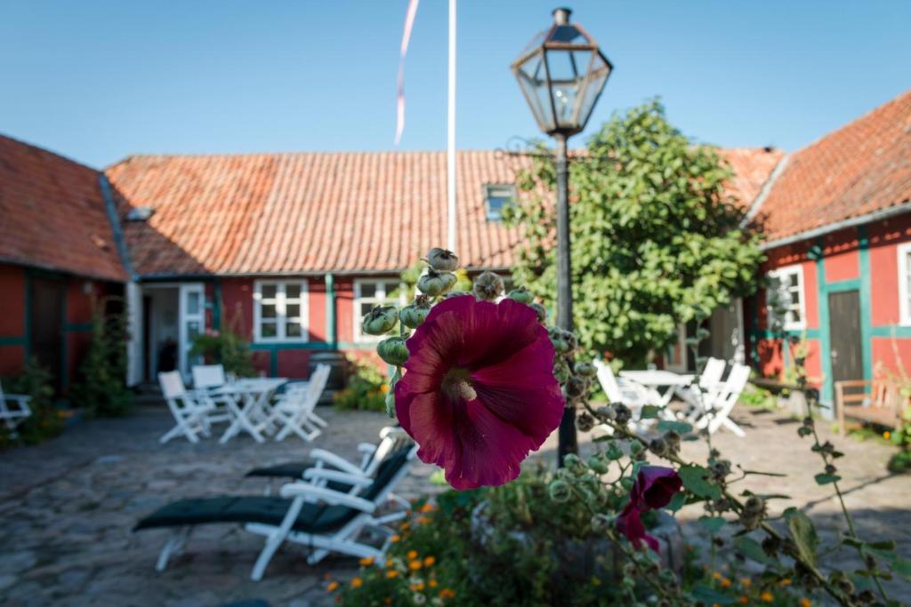 Zahrada ubytování Pension Holmegaard