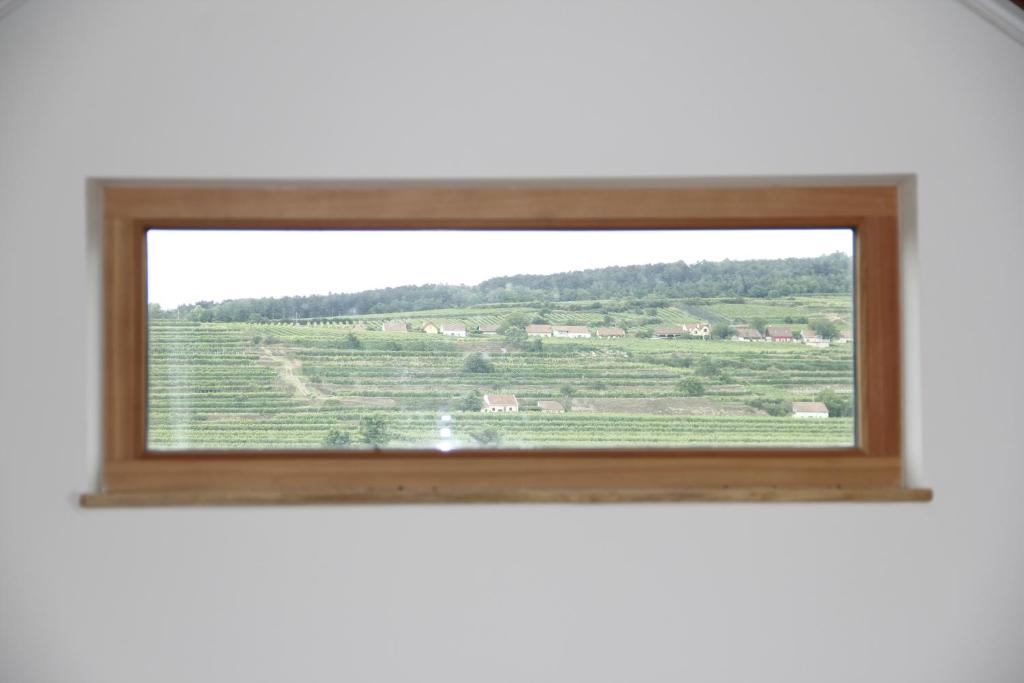 Příroda nedaleko chaty