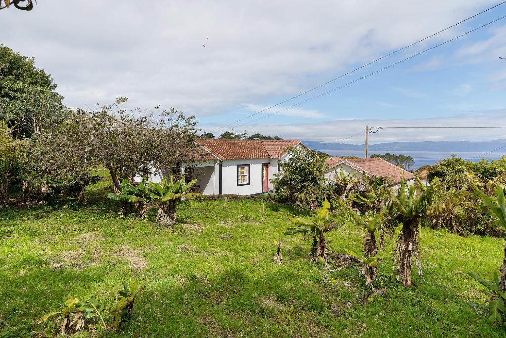 a small white house in a field with trees at Adega Peróla in Cais do Galego