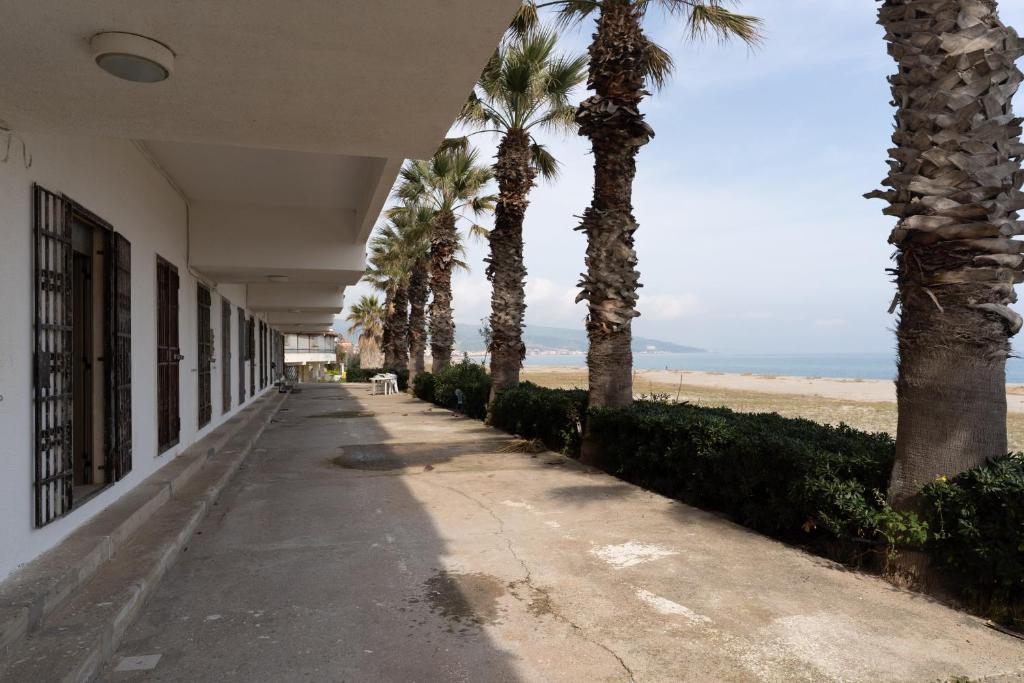 a sidewalk with palm trees next to a beach at The Sea Under the House in Marina di Strongoli