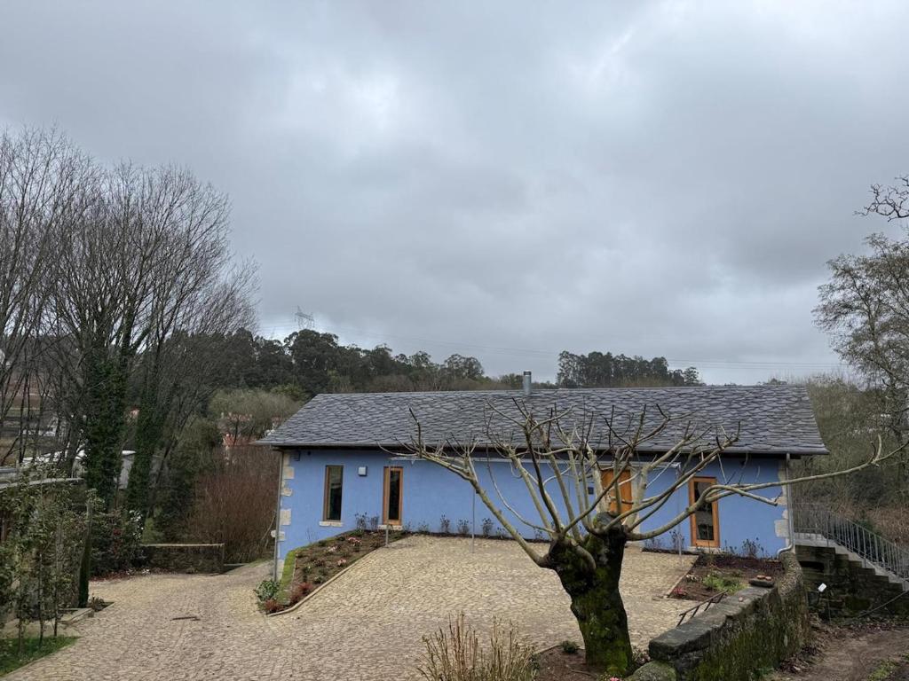 a blue house with a tree in front of it at Casa Vidinha in Faria de Baixo