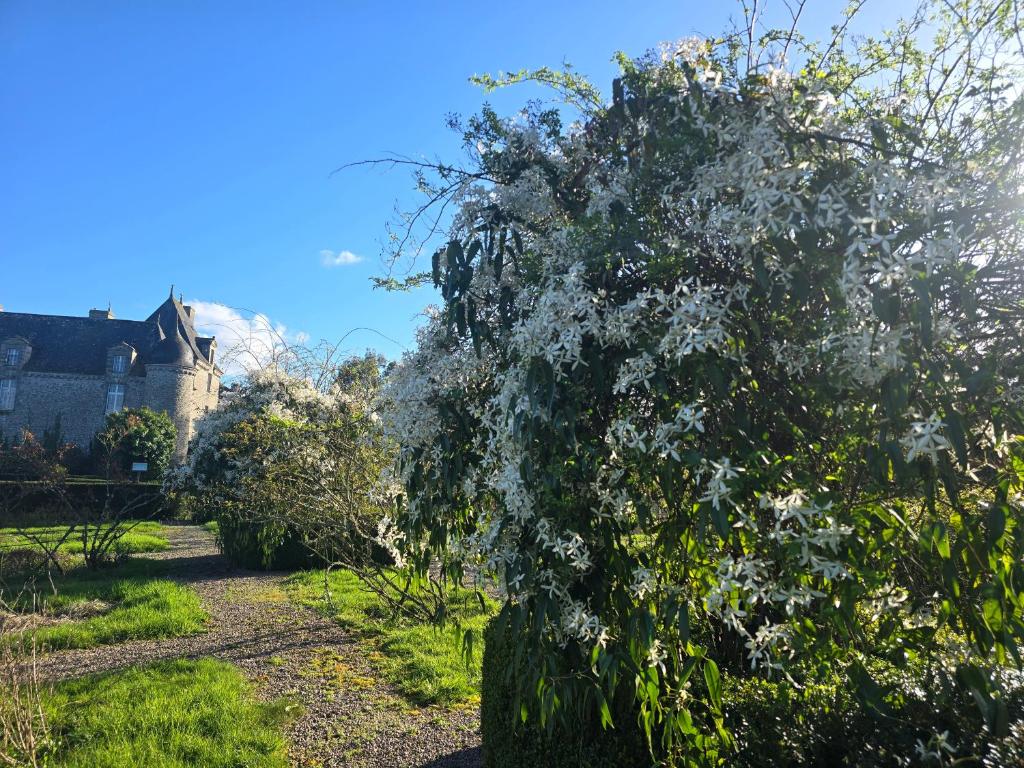 a tree in a garden with a castle in the background at Apartment in a Chateau with Park in Trébry