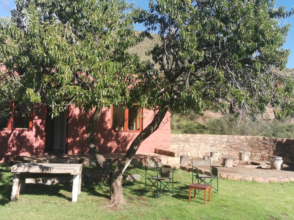 a table and chairs under a tree in a yard at Bergplaas Nature Reserve in Nieu-Bethesda