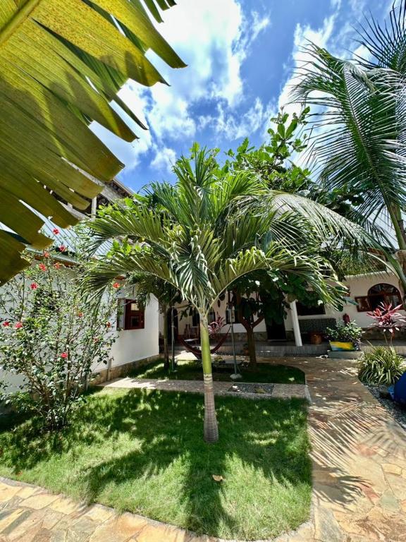 Jardí fora de Hotel Eyram