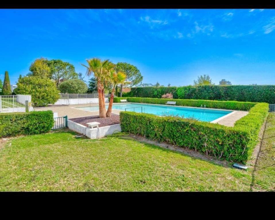 Lovely 48 m2 appt with sea view and swimming pool