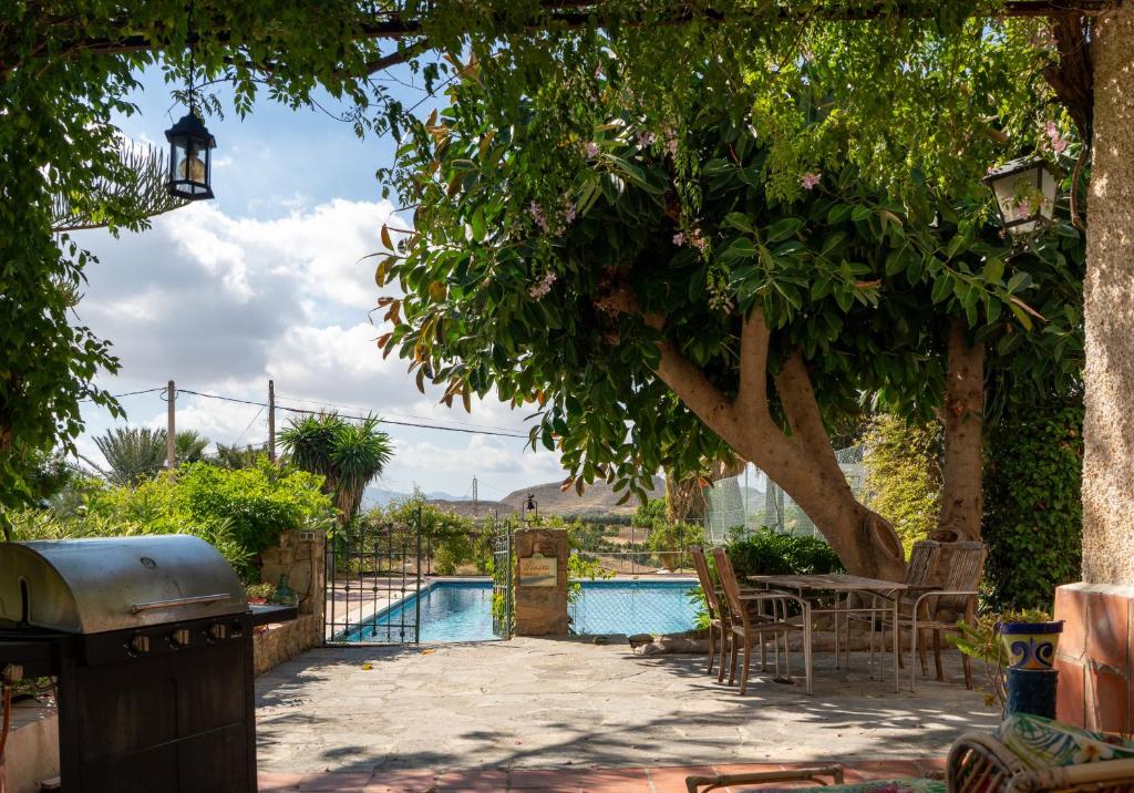 a garden with a swimming pool and a tree at Finca Antas Villa in Antas