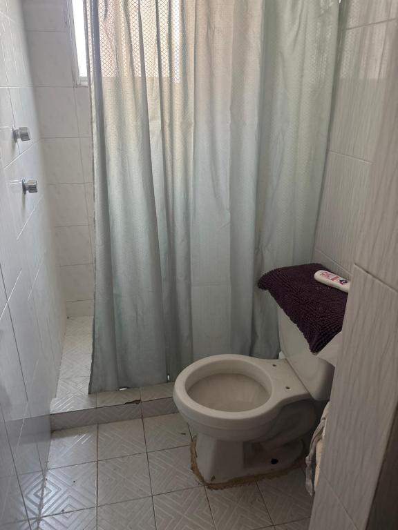 a bathroom with a toilet and a shower at Víctorhaus in San Gregorio Cuautzingo