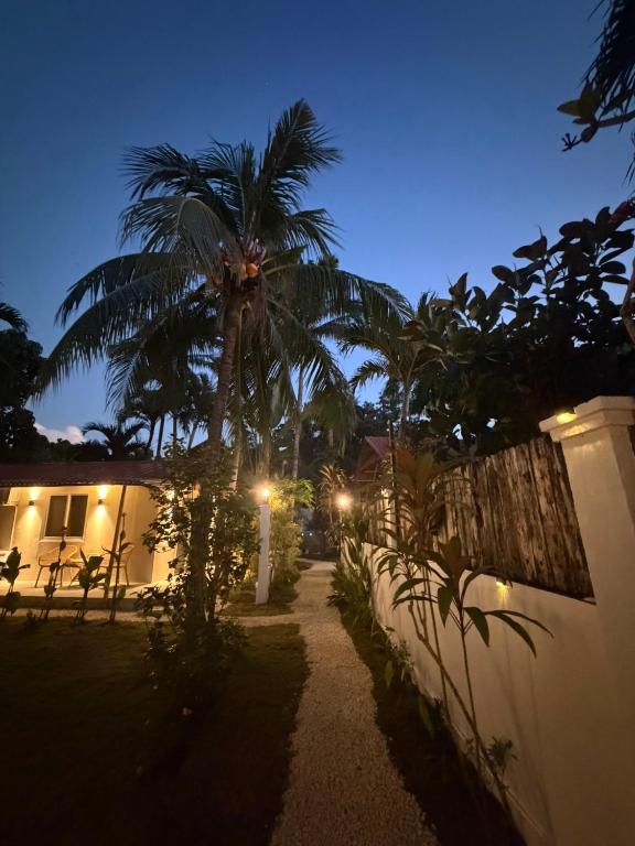 a palm tree in front of a house at night at Alaya Panglao in Panglao Island