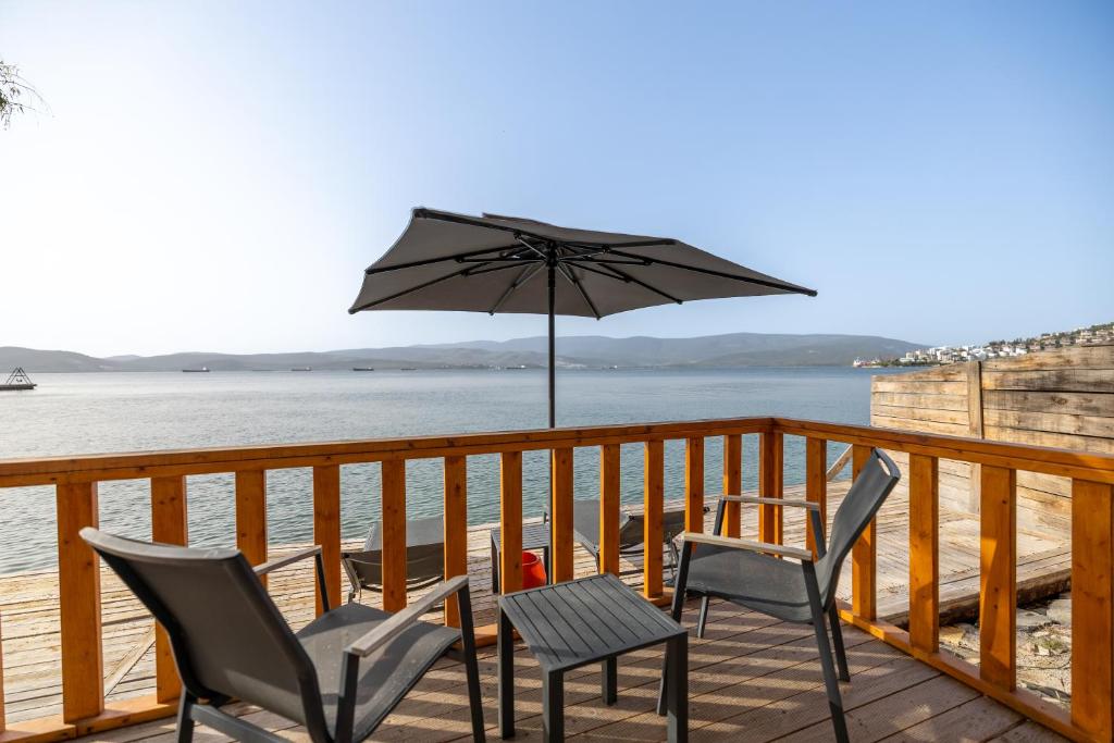 Roseira Bungalov - Housity
