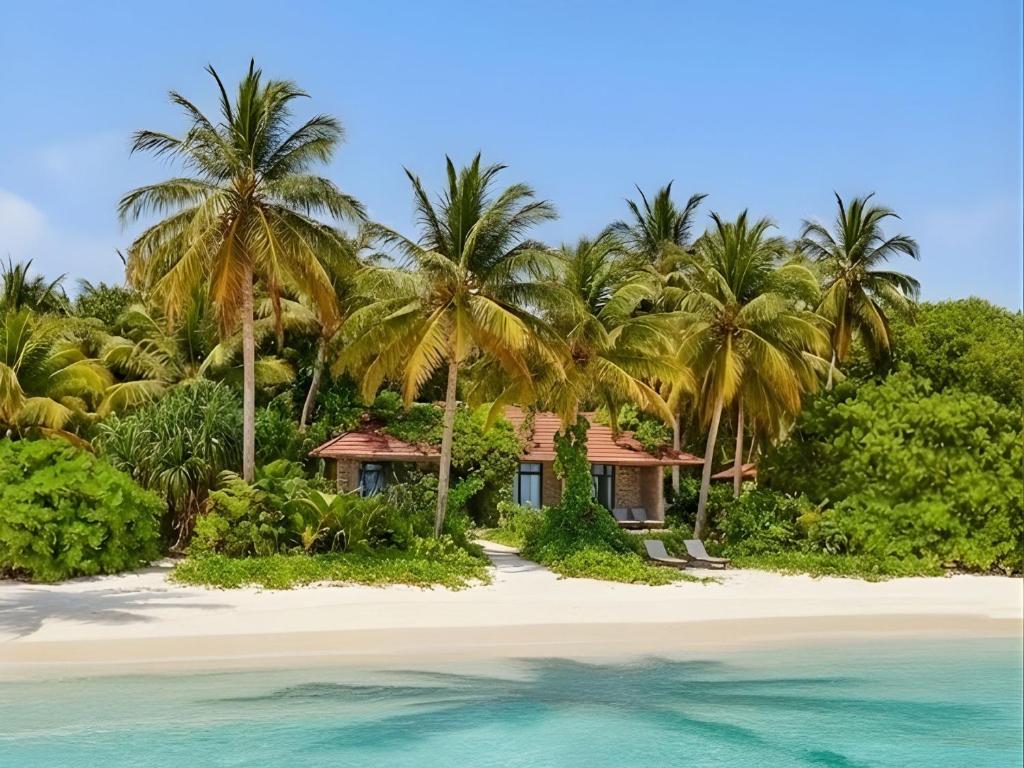 a house on a tropical beach with palm trees at Privates Strandhaus auf den Malediven in Kudafari