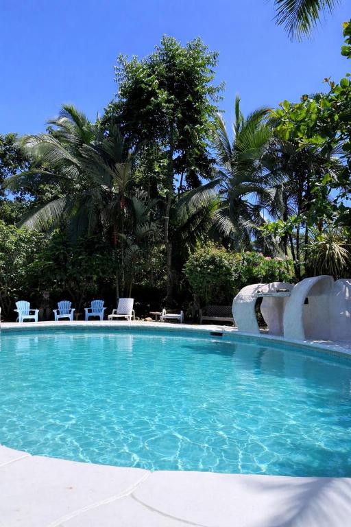 a large swimming pool with chairs and palm trees at Hotel El Colibri Rojo - Le Colibri Rouge in Cahuita
