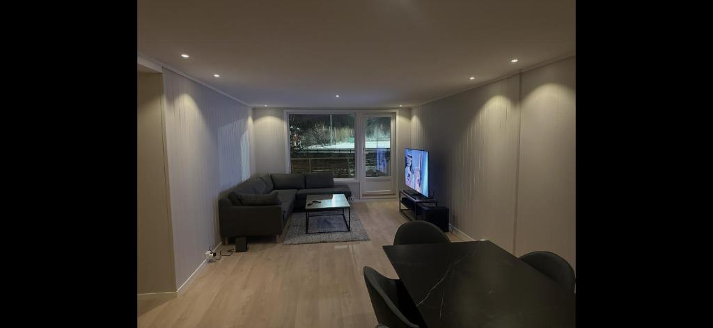 a living room with a couch and a tv at Bolig leies ut med 3 soverom in Namsos