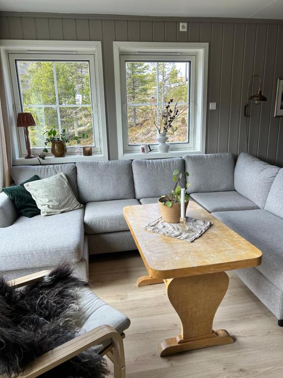 a living room with a couch and a coffee table at Mountain apartment in Vaga