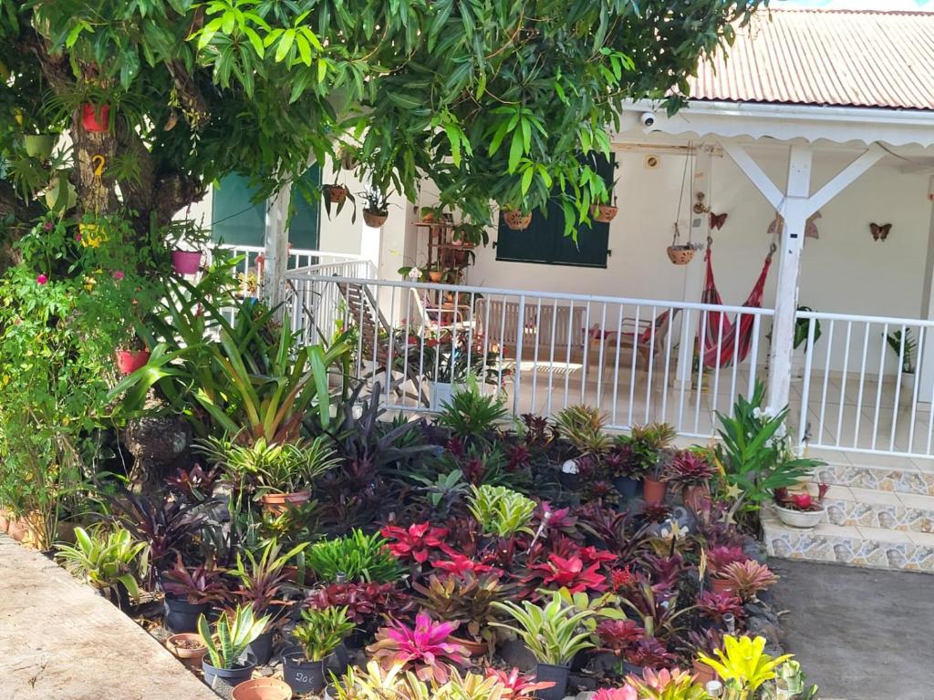 a garden in front of a house with flowers at Case rouge in Les Abymes