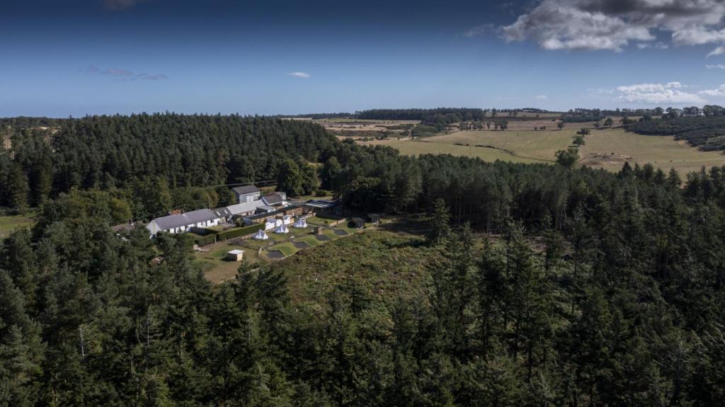 an aerial view of a house on a hill with trees at Cheviot Glamping Ltd in Ford