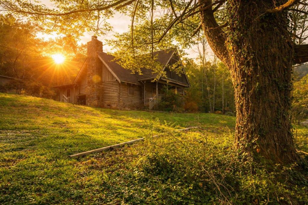 a house on a hill with a tree in the foreground at Townsend Charm: River View Historic Log Cabin! in Townsend