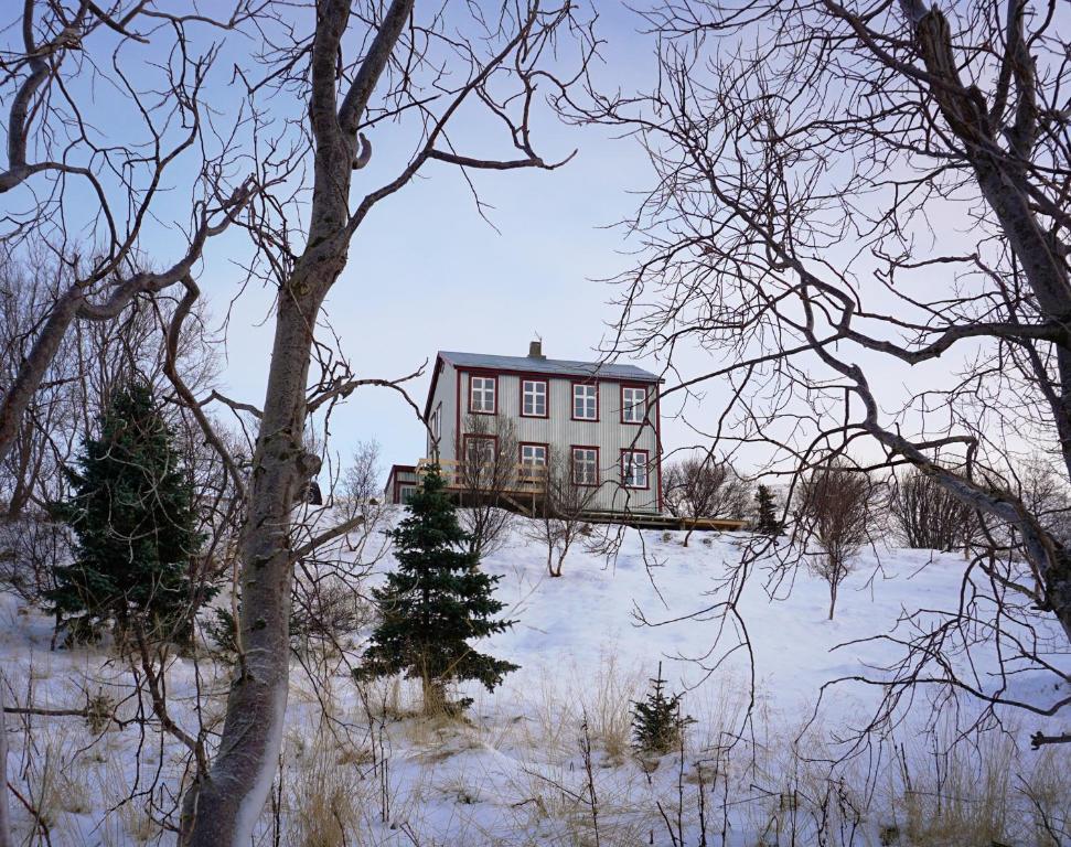 Saudafell Guesthouse v zimě
